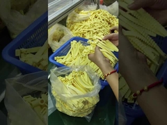 極度の温度 (-30.C~230.C) のためのカスタマイズされたシリコンゴムOリング